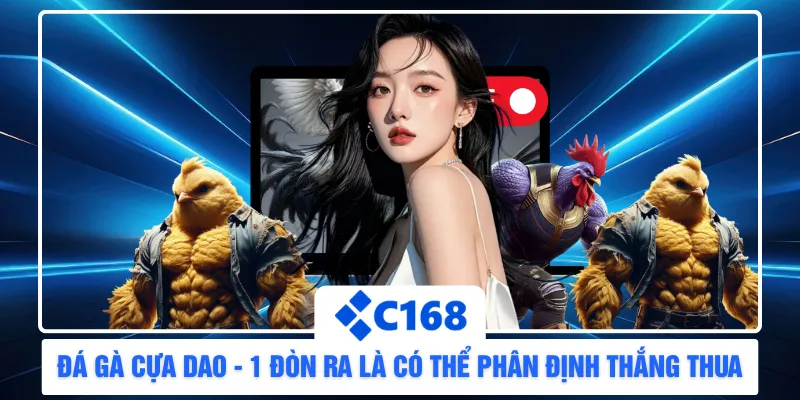 Đá Gà Cựa Dao - 1 Đòn Ra Là Có Thể Phân Định Thắng Thua