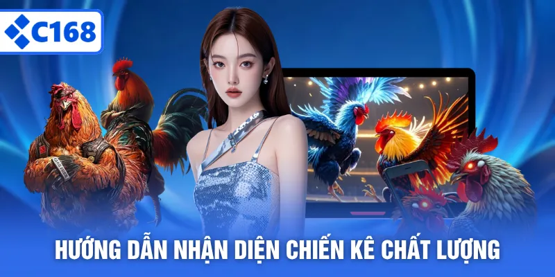 Hướng dẫn nhận diện chiến kê chất lượng