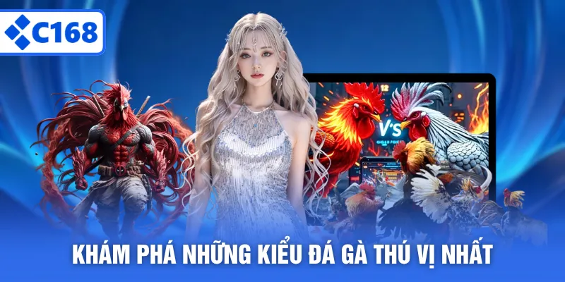 Khám phá những kiểu đá gà thú vị nhất