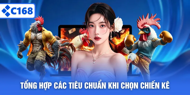 Tổng hợp các tiêu chuẩn khi chọn chiến kê